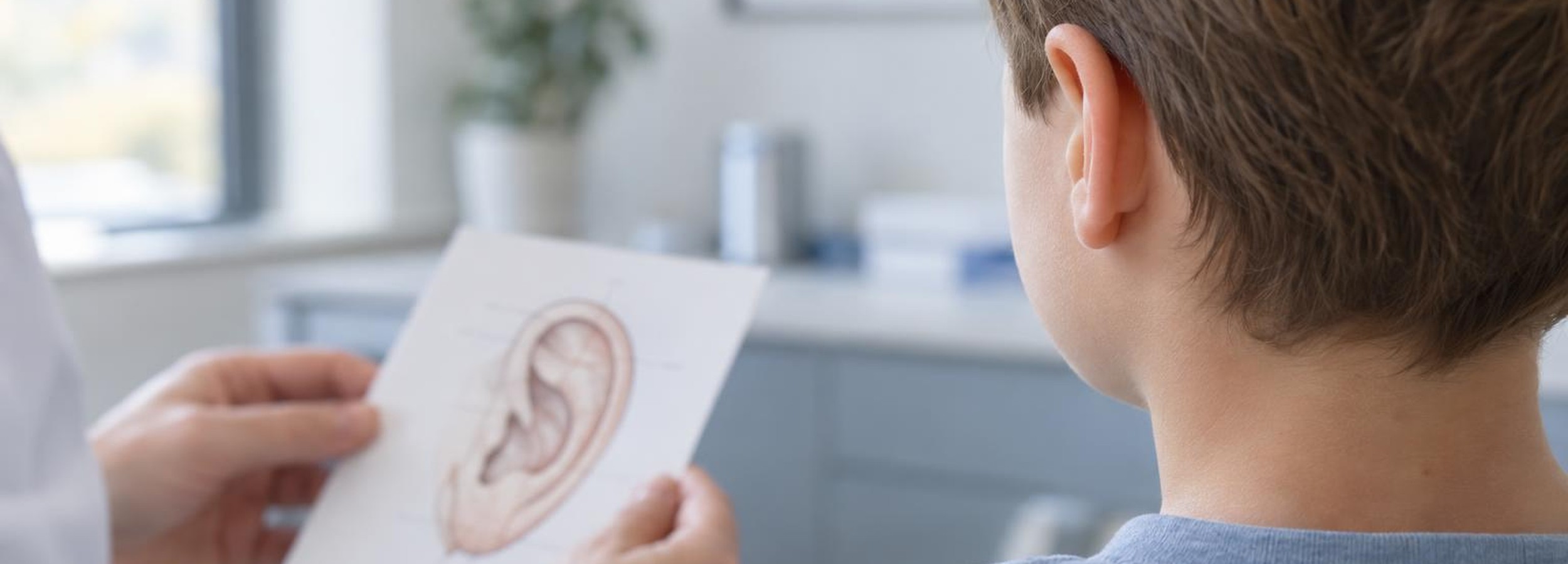Otoplastia en niños: cuándo tiene sentido y cuándo esperar 1 Consulta clínica de otoplastia infantil, vista posterior de un pabellón auricular sin rostro reconocible
